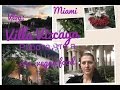 Vlog : Работа,Villa Vizcaya,Lawe art museum,веган food.