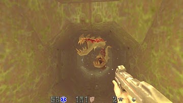 Quake 2-Dark Undergrowth Single-Player Map Pack