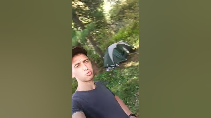 Разбили лагерь в тайге.
