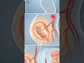 Foods to Avoid During Pregnancy | What Pregnant Women Should NOT Eat ?
