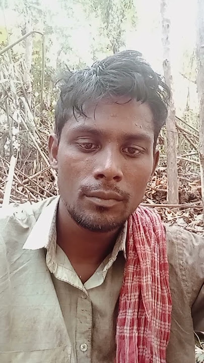 #nagindancemix #dj #song