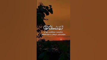 قرآن كريم بصوت القارئ سعد الغامدي تلاوة مطمئن ارح قلبك 💚🌿حاله واتس اب /استوري انستغرام