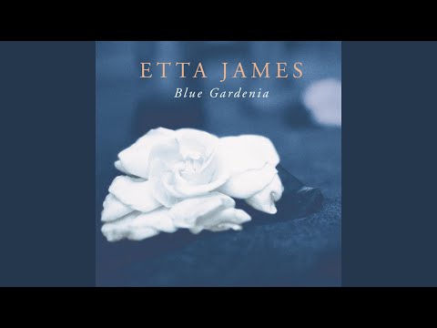 Putar Don't Let the Sun Catch You Crying - Etta James