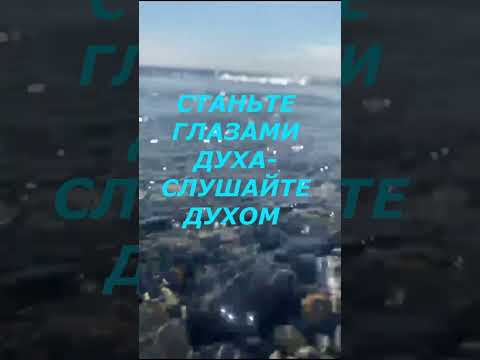 Пробуждение. Короткая и очень эффективная практика .