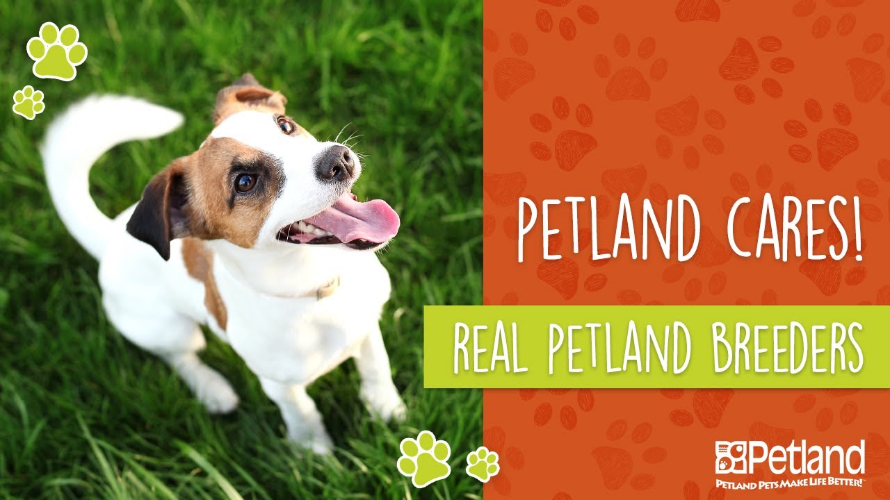 petland breeders