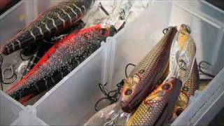 Trolling Berkley Flicker Shads for Open Water Walleyes - Season 6