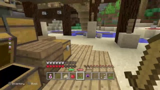 Minecraft Survival  sub4sub