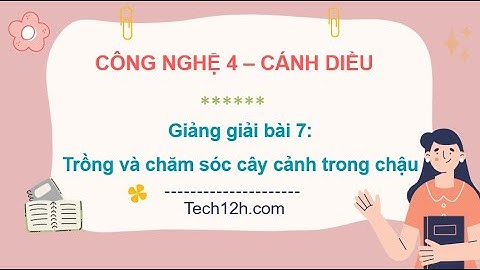 Giảng bài 7: Trồng và chăm sóc cây cảnh trong chậu | Bài giảng công nghệ 4 cánh diều