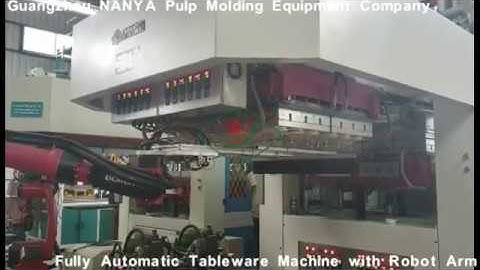 Fully Automatic Pulp Molding Tableware Machine with Robot Arm
