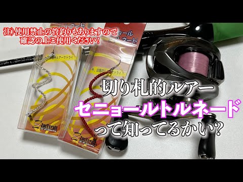 管釣り引退K-craftネジング　美品7点　まとめ売り　セニョールトルネード Amazon | ザクトクラフト×釣りゲン セニョールトルネード