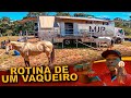 Rotina de um Vaqueiro na Vaquejada -Vaquejada Icaraí de Minas-MG-