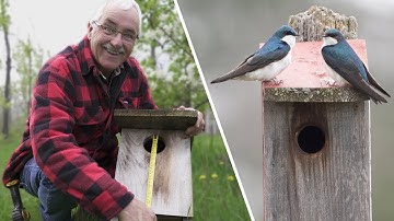 Nest Box Design: Our BEST DESIGN Details from 25 years of Practice