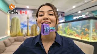 Preferred Consultants Ai Ad By Codeup Solutions