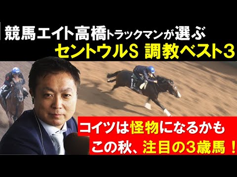 調教診断 こいつは怪物かも 競馬エイト高橋賢司トラックマン厳選 セントウルステークス調教ベスト3 この夏見つけた注目馬 Youtube 調教診断 こいつは怪物かも 競馬エイト高橋賢司トラックマン厳選 セントウルステークス調教ベスト3 この夏見つけた注目馬 Youtube