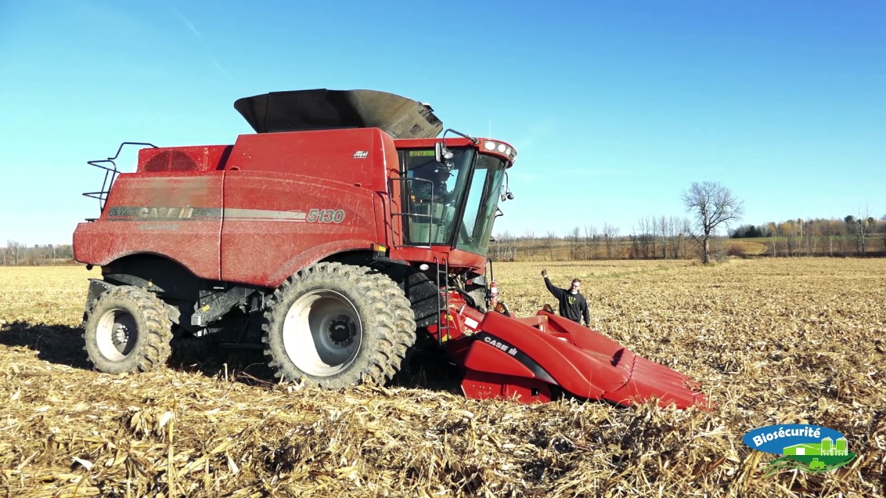 Nettoyage d'une moissonneuse-batteuse - Biosécurité dans le secteur des  grains 