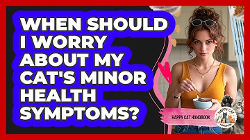 When Should I Worry About My Cat