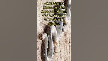mitos mimpi dililit ular anaconda !! #short #shorts #misteri #mitos
