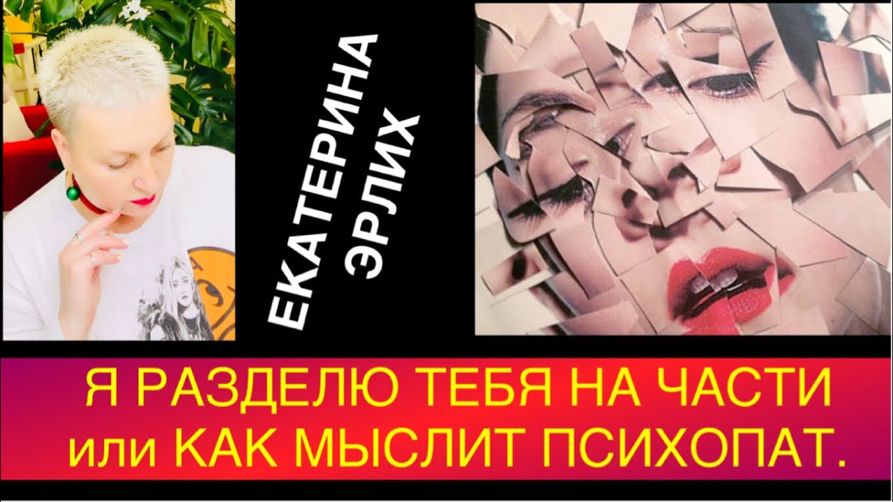 ФРАГМЕНТАРНОЕ МЫШЛЕНИЕ ПСИХОПАТА. Екатерина Эрлих.
