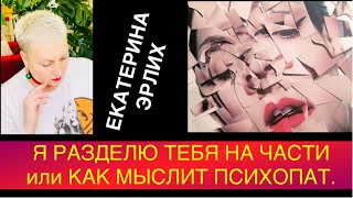видео: ФРАГМЕНТАРНОЕ МЫШЛЕНИЕ ПСИХОПАТА. Екатерина Эрлих. картинка: ФРАГМЕНТАРНОЕ МЫШЛЕНИЕ ПСИХОПАТА. Екатерина Эрлих.