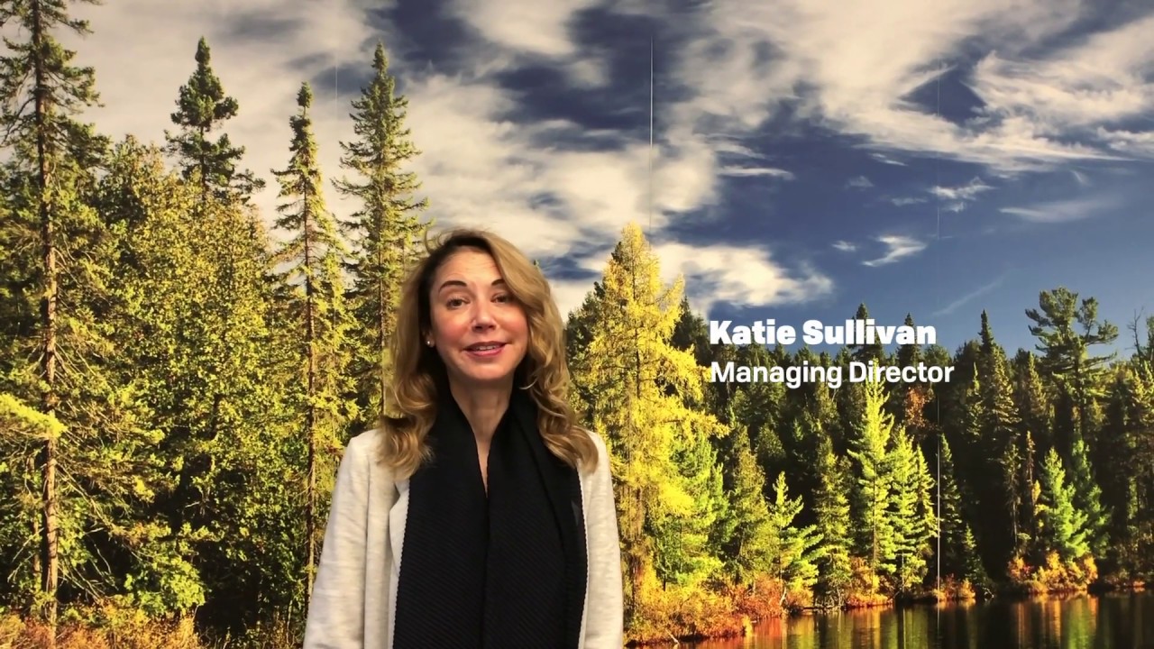 IETA's 20th Birthday