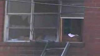 Fire Crews Rescue Woman Trapped In Building