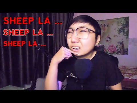 Video Sheep Là Con Trai Hay Con Gái ? - youtube