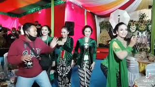 story wa dicium artis