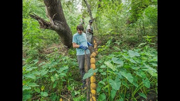 Installing a WaterGoat on Weracoba Creek