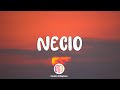 Necio - Romeo Santos (Letra/Lyrics)