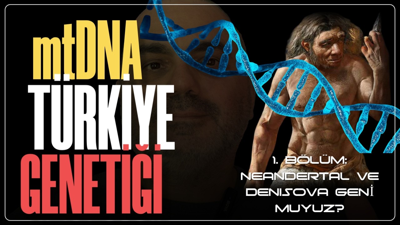 Türklerin DNA’sında Ne Var? Mitokondriyal Havva’dan Neandertal’e! (1. Bölüm)