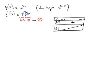 Fonctions exponentielles - Représentation graphique et variation