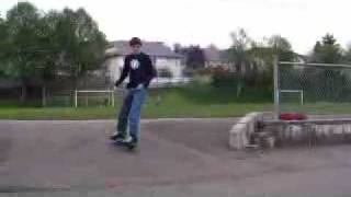 Wave Board (skateboard with 2 wheels)