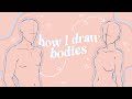 How i draw bodies  anatomy tips 2023