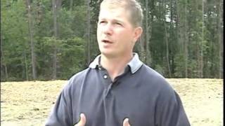 SCDOT Tree Removal