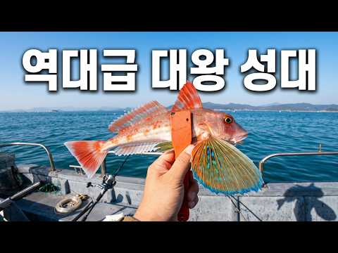 통영 풍화리 선외기 낚시