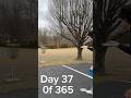 Day 37! #ohnodiscgolf #frisbeegolf #playdiscgolf #frisbeesport #discgolfcourse #discgolf