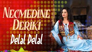 Necmedine Deriki - Delal Delal