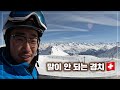 🏔알프스에서 스키타봣니?