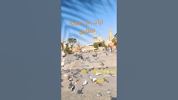 #العلوي #diq ايات من سورة الطارق #اكسبلور