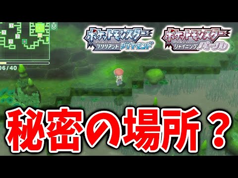 【ポケモン ダイパリメイク】ここはいったい？たまたま 地下の大洞窟に潜ったらとんでもないところを発見してしまった【ポケモン剣盾/ブリリアントダイヤモンド・シャイニングパール／BDSP】