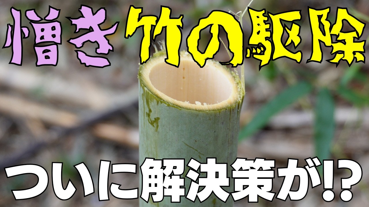 新しい伐採方法を試してみた 