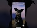 Stories View, SwiftUI 16+ StoriesKit