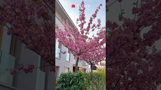 Exclusive Rental In Rožna Dolina, Ljubljana