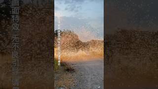 Мега чесноки 😂 #fireworks #pyrotechnica #петарды