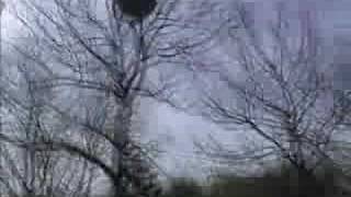 Unicef-Bericht Über Bochum-Querenburghustadt