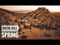 Knob Hill Spring - Nelson, Nevada