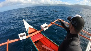 Melon-headed Whales (Electra Dolphin) in Butuan Bay | PHILIPPINES | GoPro Hero7Black | PART ONE by Nico Calo 131 views 4 years ago 1 minute, 17 seconds