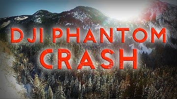 DJI Phantom Crash - Tree Crash - DJIguy
