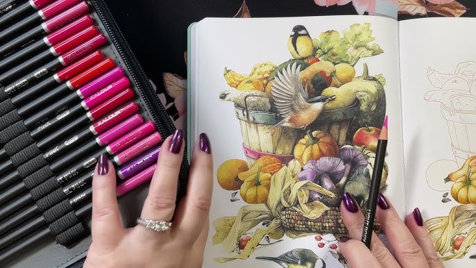 Adult Coloring Best Pencils Review for Adult Coloring Books