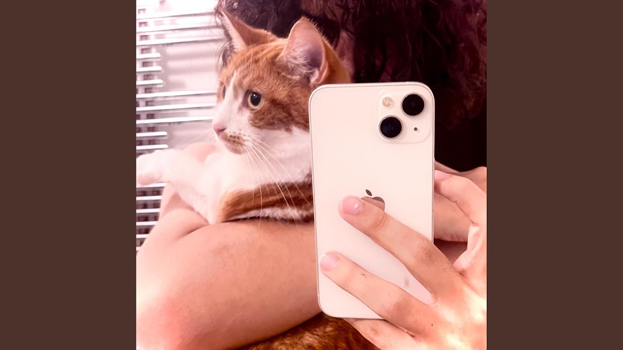 shout me for haze bro